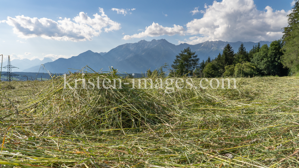 Heu auf einem Feld, Heumahd / Tirol, Austria by kristen-images.com