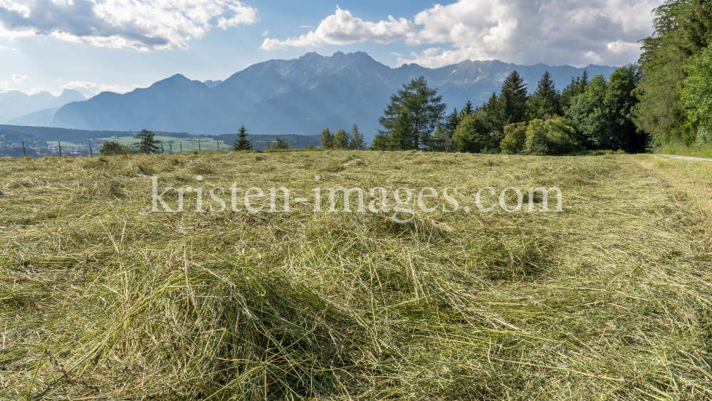 Heu auf einem Feld, Heumahd / Tirol, Austria by kristen-images.com