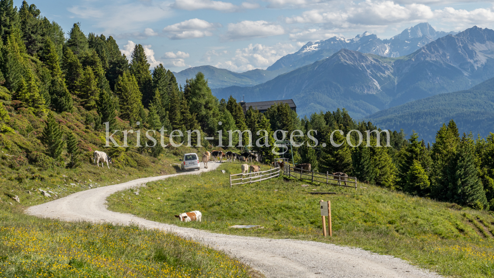 Weg auf den Patscherkofel, Patsch, Tirol, Austria by kristen-images.com