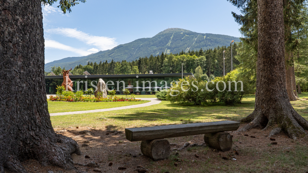 Kurpark Igls, Innsbruck, Tirol, Austria by kristen-images.com