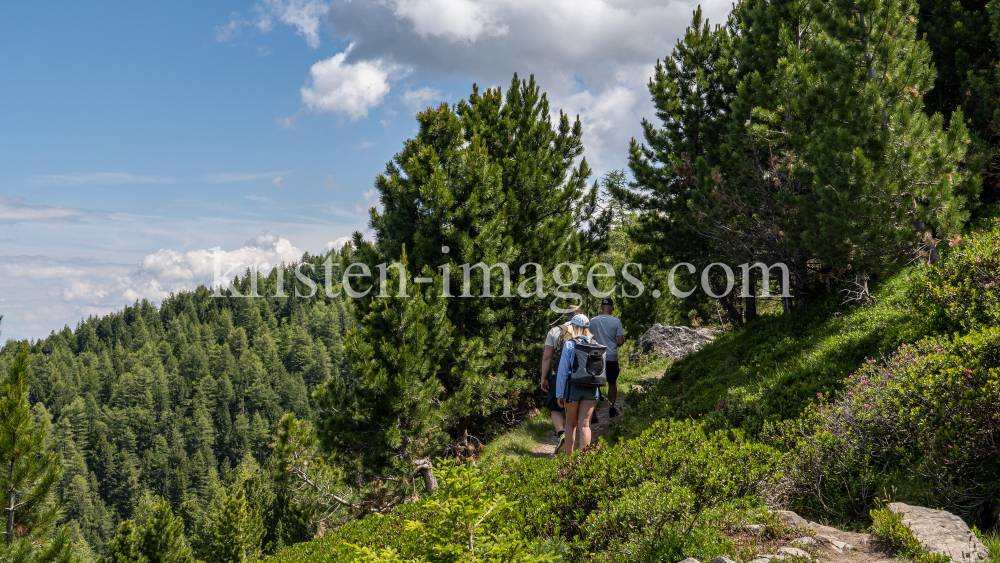 Zirbenweg, Patscherkofel, Tirol, Austria by kristen-images.com