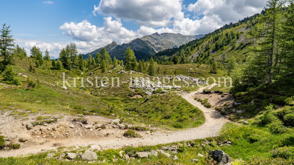 Zirbenweg, Patscherkofel, Tirol, Austria by kristen-images.com