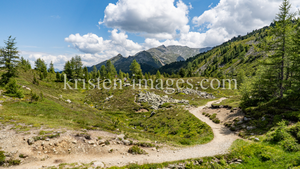 Zirbenweg, Patscherkofel, Tirol, Austria by kristen-images.com