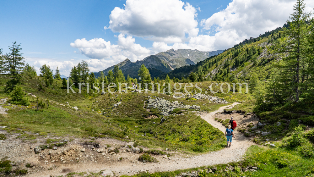 Zirbenweg, Patscherkofel, Tirol, Austria by kristen-images.com