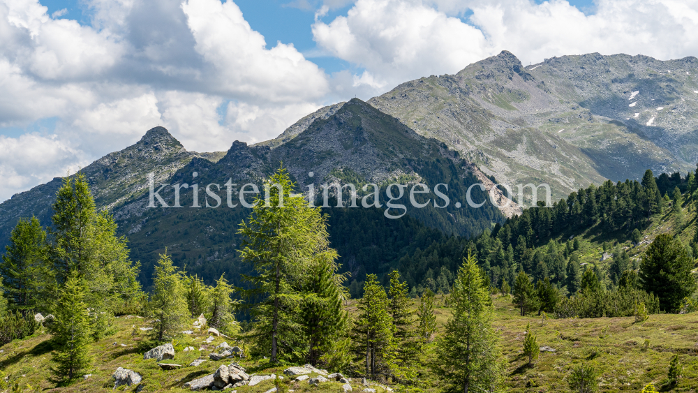 Zirbenweg, Patscherkofel, Tirol, Austria by kristen-images.com