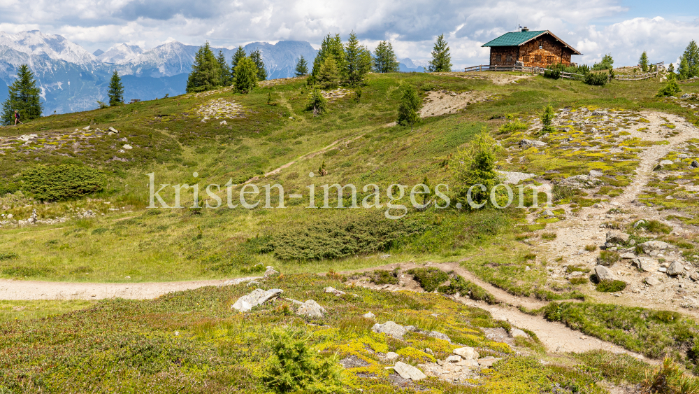 Zirbenweg, Patscherkofel, Tirol, Austria by kristen-images.com