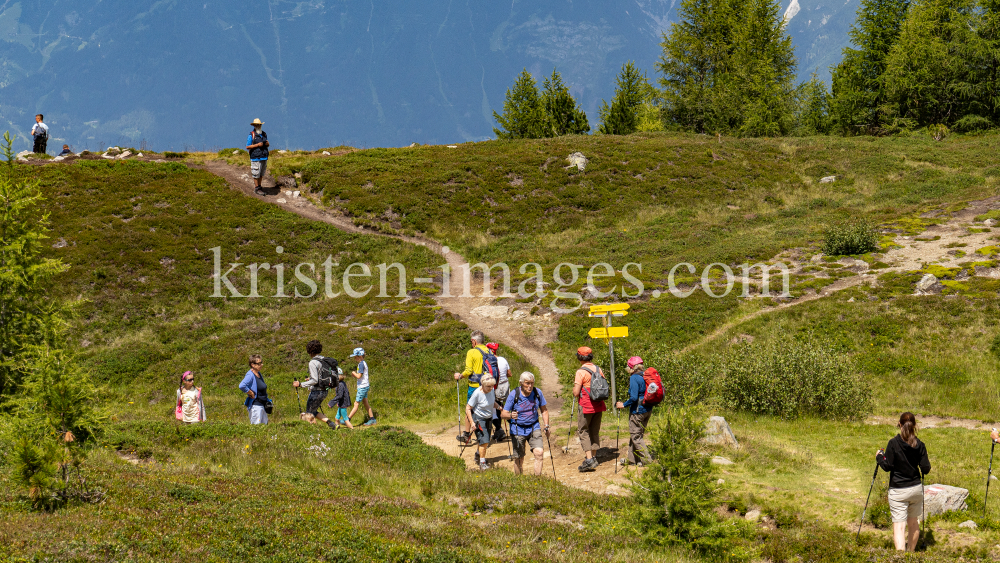 Zirbenweg, Patscherkofel, Tirol, Austria by kristen-images.com