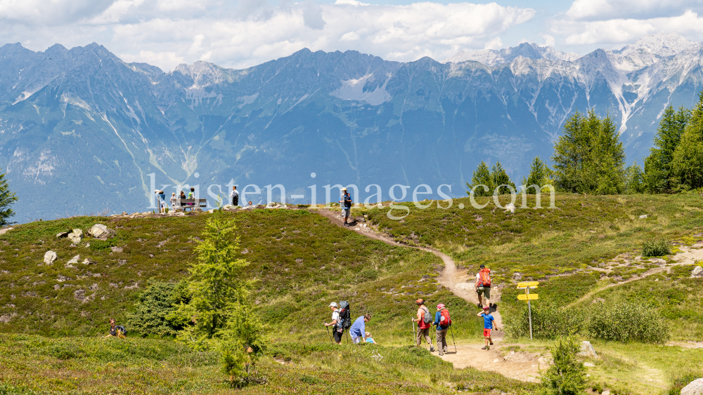 Zirbenweg, Patscherkofel, Tirol, Austria by kristen-images.com