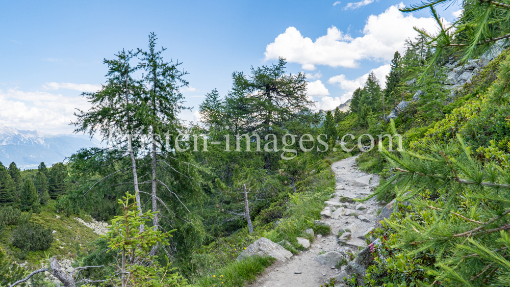 Zirbenweg, Patscherkofel, Tirol, Austria by kristen-images.com