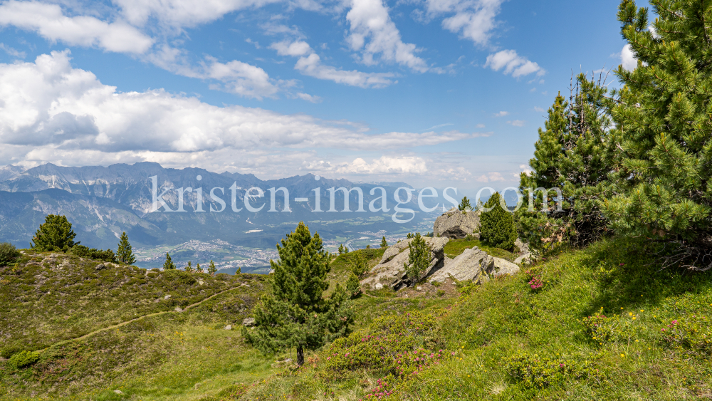 Patscherkofel, Tirol, Austria by kristen-images.com