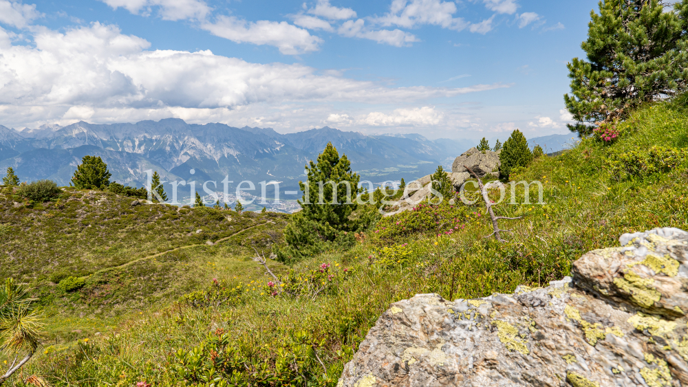 Patscherkofel, Tirol, Austria by kristen-images.com