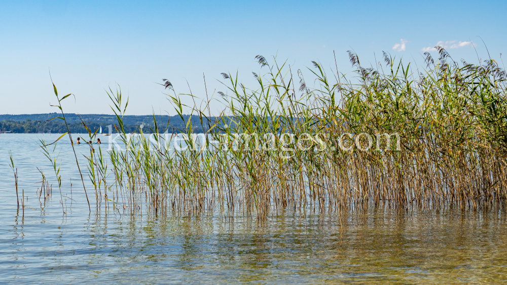 Erholungsgebiet Ambach, Starnberger See, Bayern, Deutschland by kristen-images.com