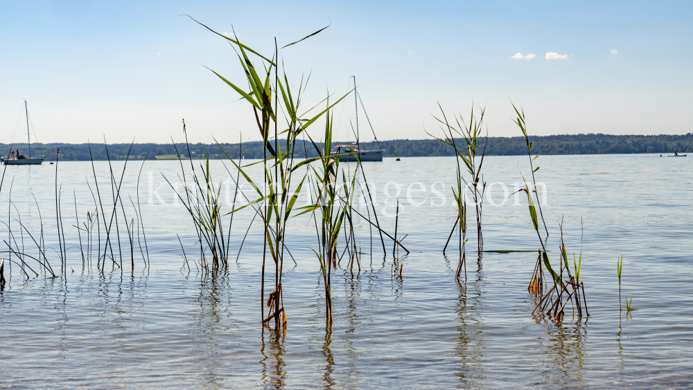 Erholungsgebiet Ambach, Starnberger See, Bayern, Deutschland by kristen-images.com