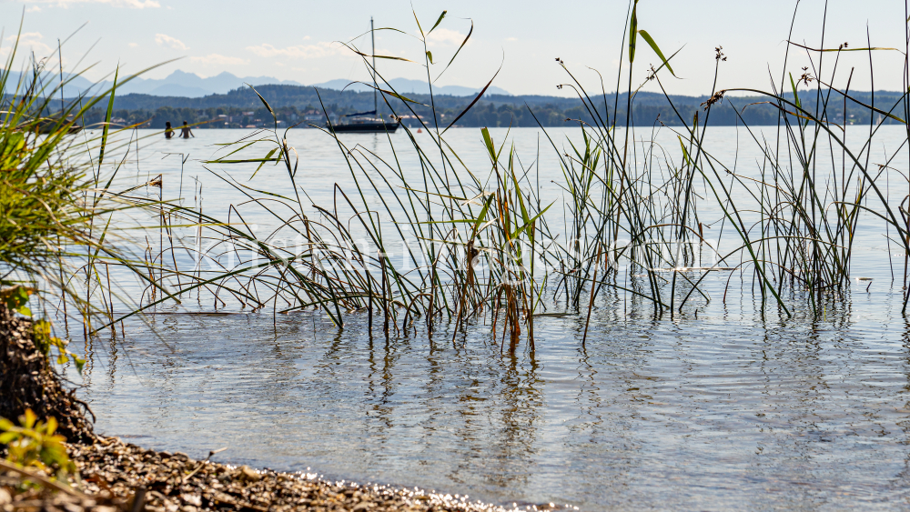 Erholungsgebiet Ambach, Starnberger See, Bayern, Deutschland by kristen-images.com