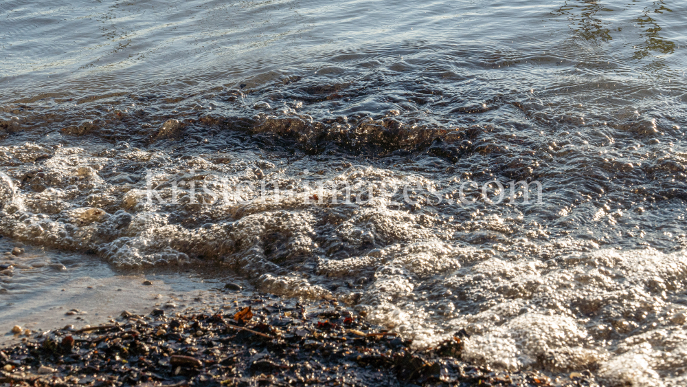 Seeufer / Erholungsgebiet Ambach, Starnberger See, Bayern, Deutschland by kristen-images.com