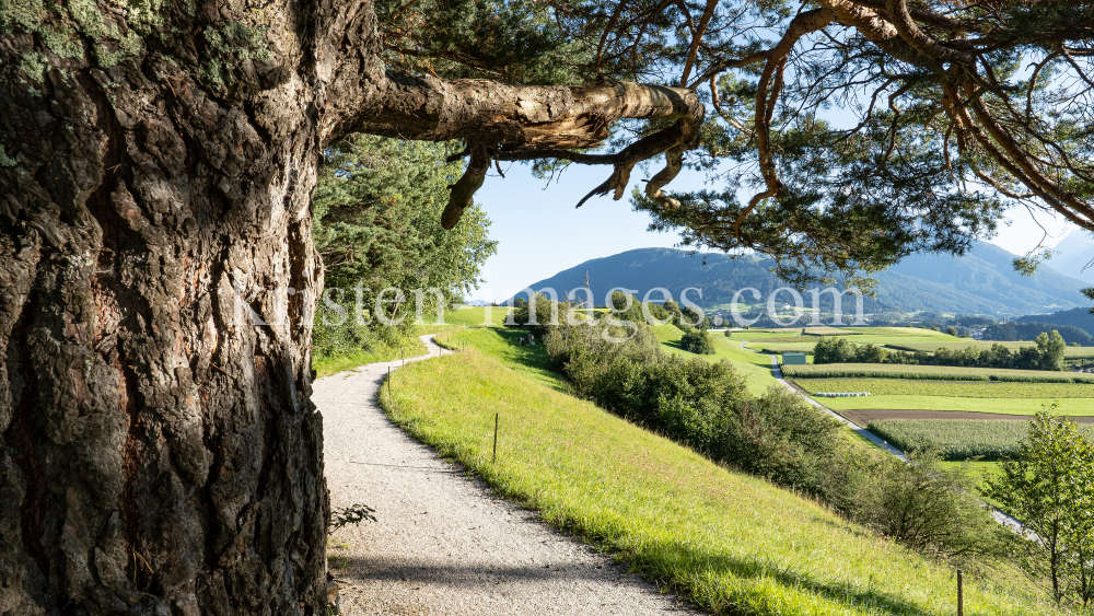 Naturschutzgebiet Rosengarten, Gletscherblickweg zwischen Igls und Patsch, Tirol, Austria by kristen-images.com