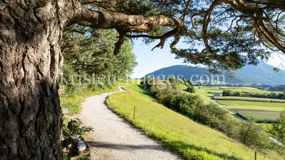 Naturschutzgebiet Rosengarten, Gletscherblickweg zwischen Igls und Patsch, Tirol, Austria by kristen-images.com