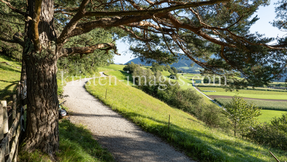 Naturschutzgebiet Rosengarten, Gletscherblickweg zwischen Igls und Patsch, Tirol, Austria by kristen-images.com