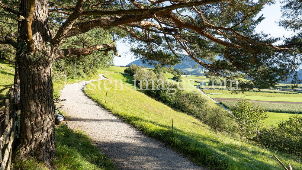 Naturschutzgebiet Rosengarten, Gletscherblickweg zwischen Igls und Patsch, Tirol, Austria by kristen-images.com