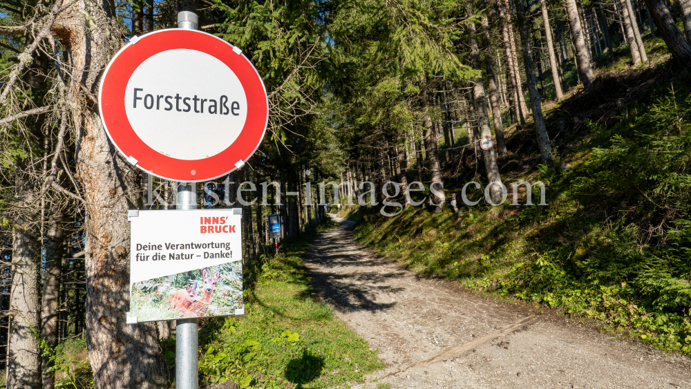 Forststeraße / Patscherkofel, Tirol, Austria by kristen-images.com