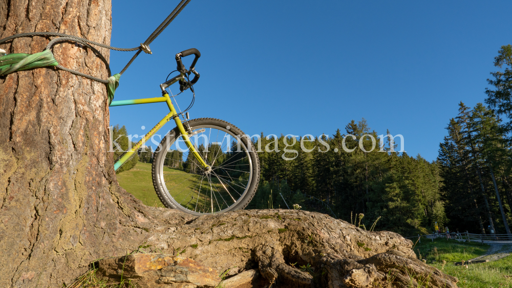 Mountainbike by kristen-images.com