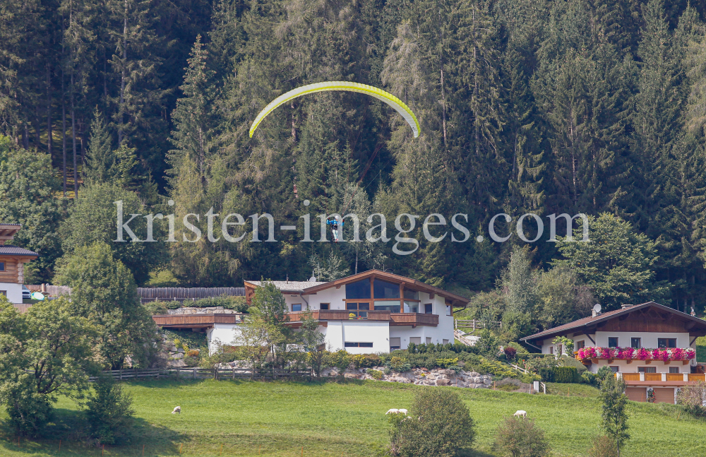 Paragleiter, Gleitschirm / Fulpmes, Stubaital, Tirol, Austria by kristen-images.com