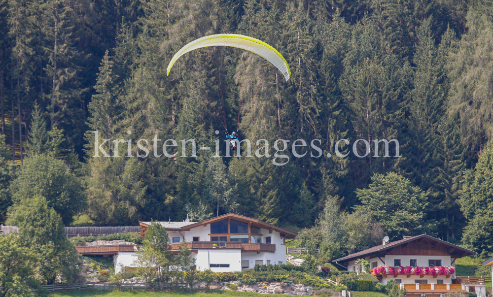 Paragleiter, Gleitschirm / Fulpmes, Stubaital, Tirol, Austria by kristen-images.com