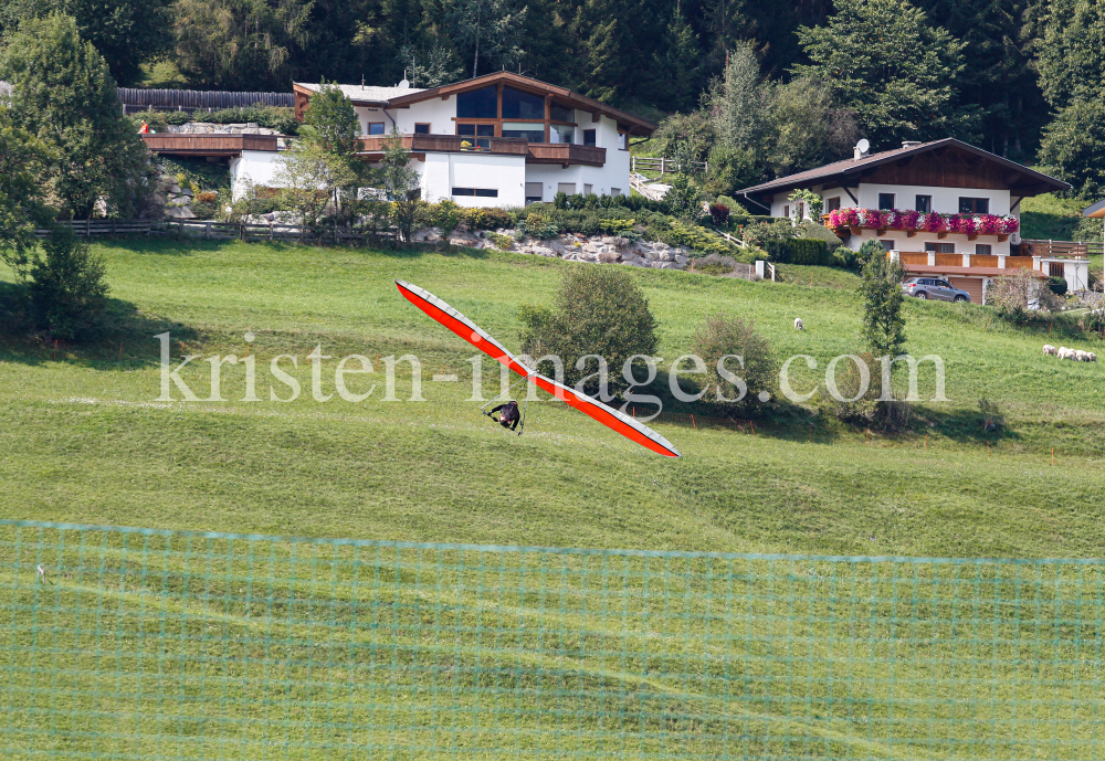 Hängegleiter, Drachenfliegen / Stubaital, Fulpmes, Tirol, Austria by kristen-images.com