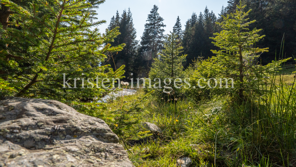 Viggarbach, Viggartal, Ellbögen, Tirol, Austria by kristen-images.com