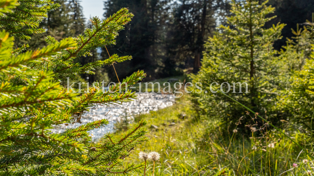 Viggarbach, Viggartal, Ellbögen, Tirol, Austria by kristen-images.com