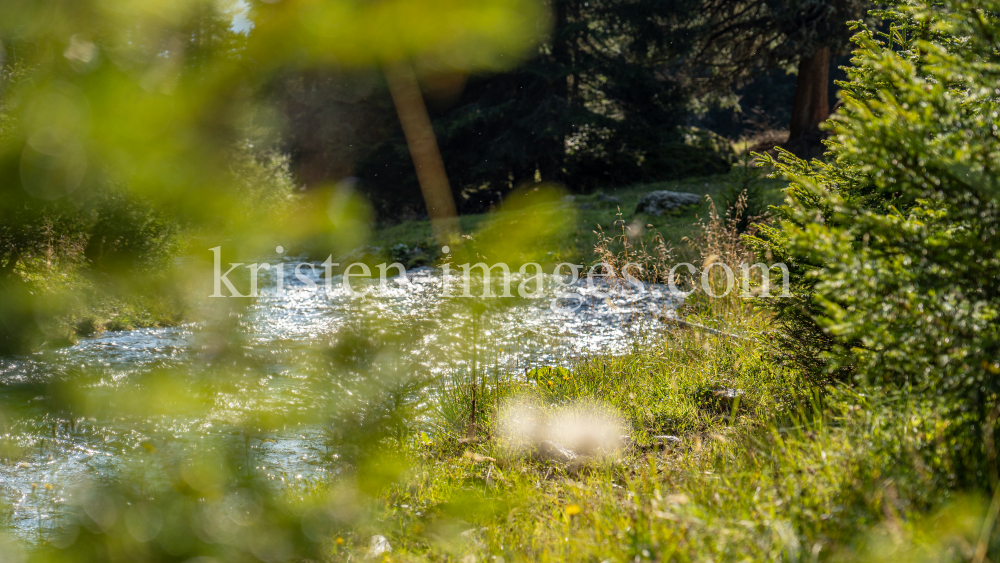 Viggarbach, Viggartal, Ellbögen, Tirol, Austria by kristen-images.com