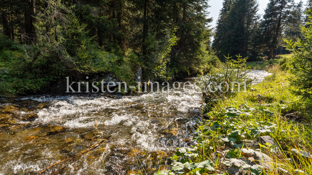 Viggarbach, Viggartal, Ellbögen, Tirol, Austria by kristen-images.com