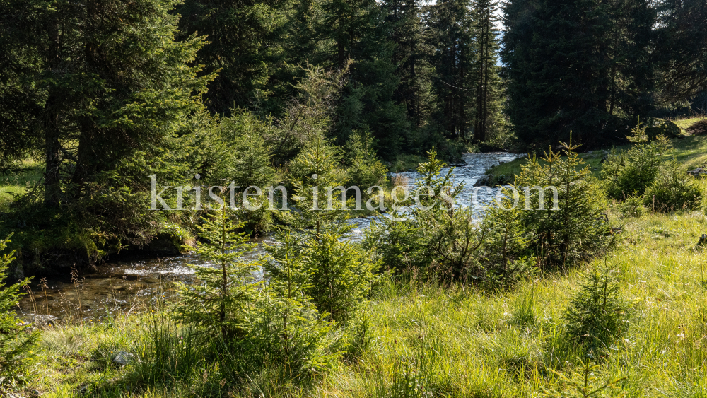 Viggarbach, Viggartal, Ellbögen, Tirol, Austria by kristen-images.com