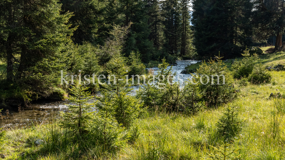 Viggarbach, Viggartal, Ellbögen, Tirol, Austria by kristen-images.com