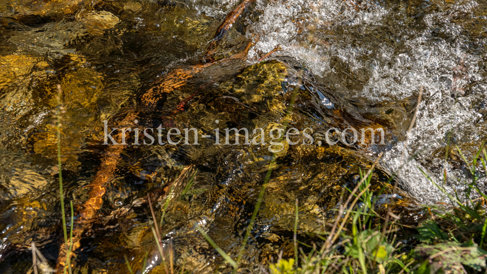 Viggarbach, Viggartal, Ellbögen, Tirol, Austria by kristen-images.com