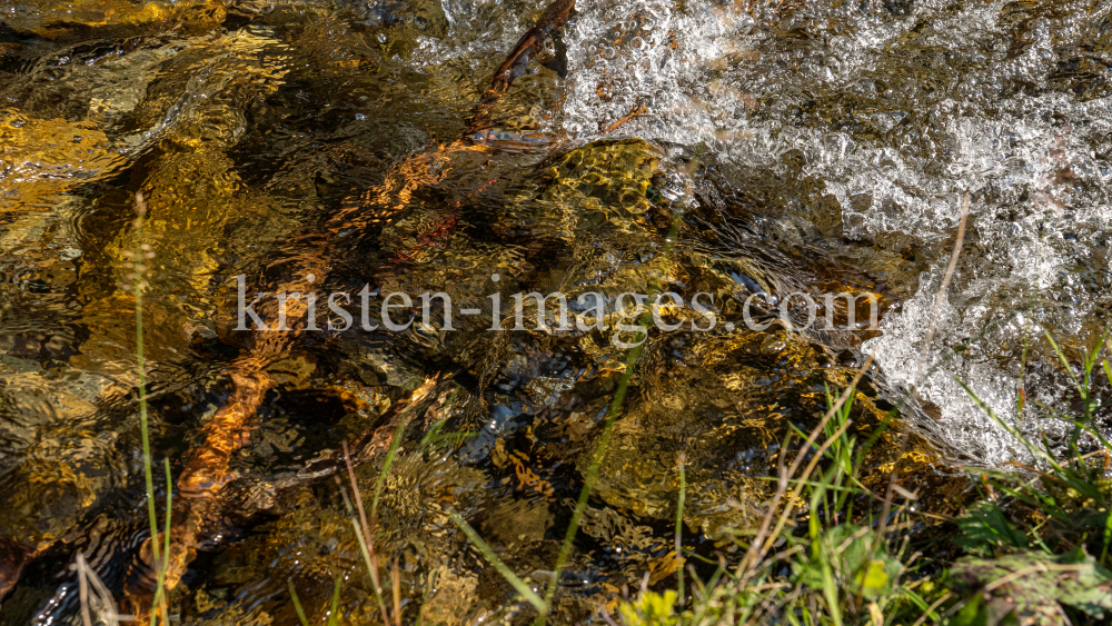 Viggarbach, Viggartal, Ellbögen, Tirol, Austria by kristen-images.com