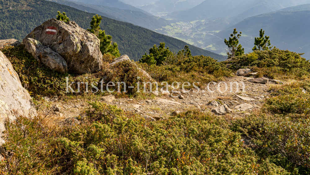 Wanderweg, Patscherkofel, Tirol, Austria by kristen-images.com