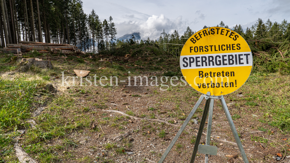 Waldrodung, forstliches Sperrgebiet / Patscherkofel, Innsbruck, Tirol, Austria by kristen-images.com