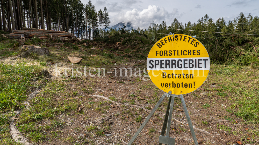 Waldrodung, forstliches Sperrgebiet / Patscherkofel, Innsbruck, Tirol, Austria by kristen-images.com
