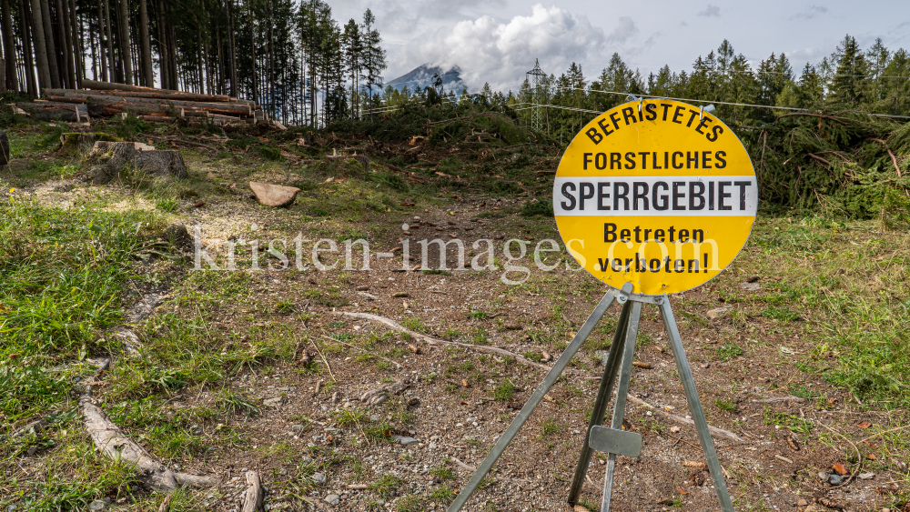 Waldrodung, forstliches Sperrgebiet / Patscherkofel, Innsbruck, Tirol, Austria by kristen-images.com