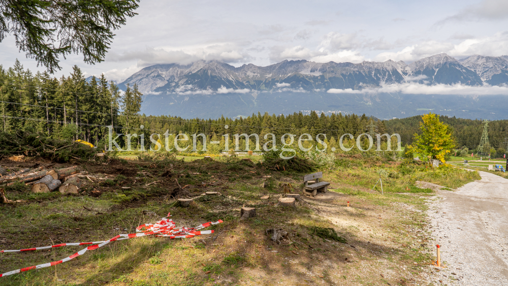 Waldrodung, forstliches Sperrgebiet / Patscherkofel, Innsbruck, Tirol, Austria by kristen-images.com