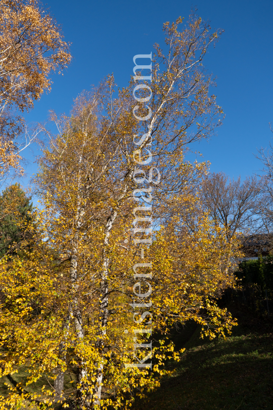 Herbst in Igls, Gsetzbichl, Innsbruck, Tirol, Austria by kristen-images.com