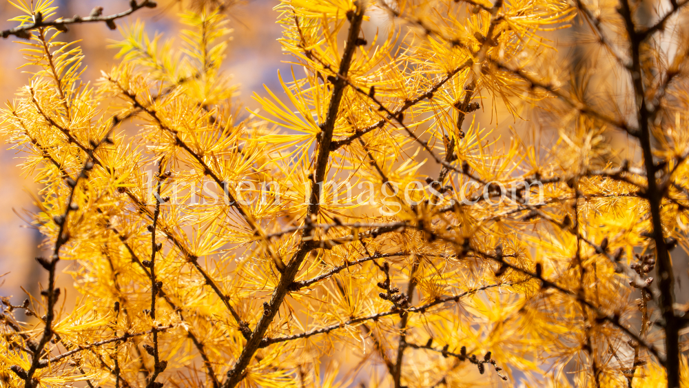 Herbst in Igls, Gsetzbichl, Innsbruck, Tirol, Austria by kristen-images.com