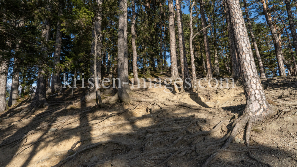 Viller Kopf, Paschberg, Vill, Innsbruck, Tirol, Austria by kristen-images.com