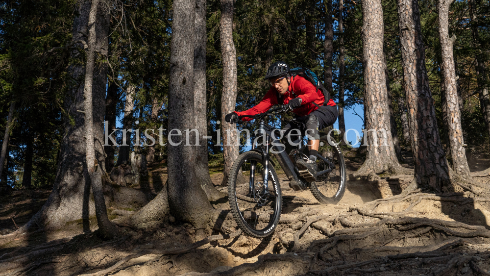 Mountainbiker, Downhiller /  Viller Kopf, Paschberg, Vill, Innsbruck, Tirol, Austria by kristen-images.com