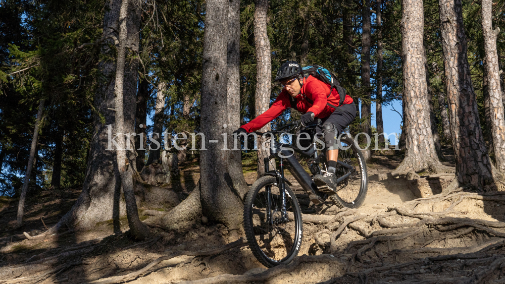 Mountainbiker, Downhiller /  Viller Kopf, Paschberg, Vill, Innsbruck, Tirol, Austria by kristen-images.com