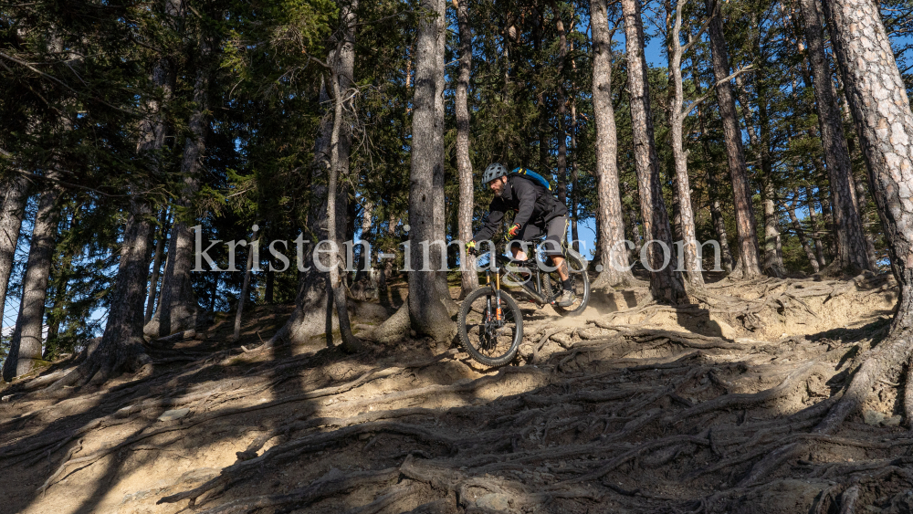 Mountainbiker, Downhiller /  Viller Kopf, Paschberg, Vill, Innsbruck, Tirol, Austria by kristen-images.com