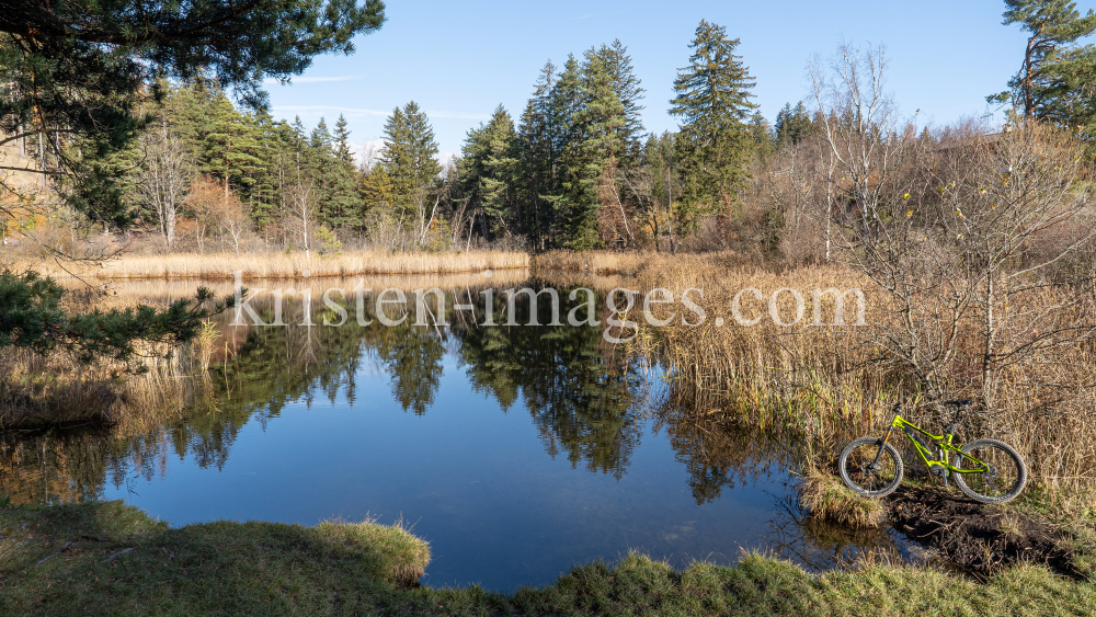 Seerosenweiher im Herbst, Lans, Tirol, Austria by kristen-images.com