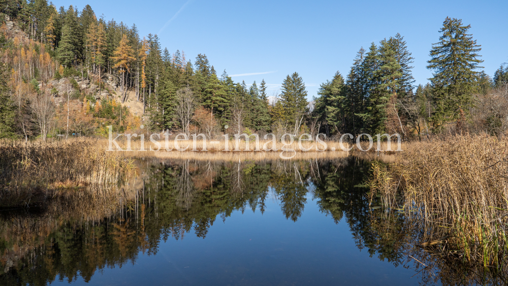 Seerosenweiher im Herbst, Lans, Tirol, Austria by kristen-images.com