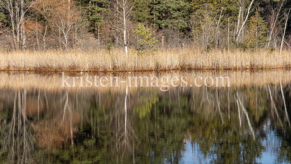 Seerosenweiher im Herbst, Lans, Tirol, Austria by kristen-images.com